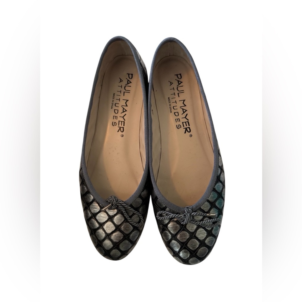 [Paul Mayer Attitudes] Luxe Metallic Ballet Flat Sz: 7.5